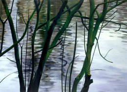 Frank Bauer - Bäume am Wasser