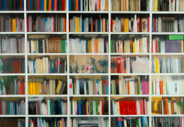 Frank Bauer - Bücherregal