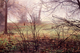 Frank Bauer - Frost 5