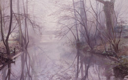 Frank Bauer - Frost 6