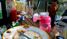 Frank Bauer - Grillen bei Matz und Linda