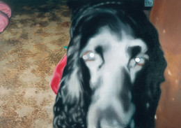 Frank Bauer - Hund (gefundenes Foto)