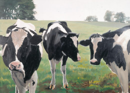 Frank Bauer - Kühe 1