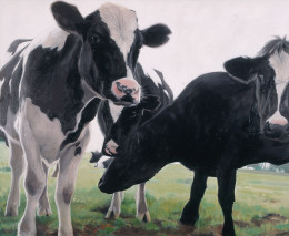 Frank Bauer - Kühe 2