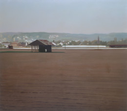 Frank Bauer - Landschaft zwischen Brühl und Bonn 8