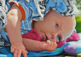 Frank Bauer - Ludwig