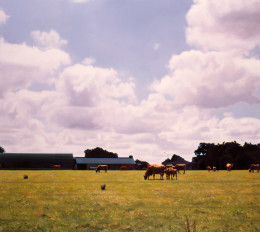 Frank Bauer - Picardie 1