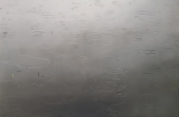 Frank Bauer - Regen 1