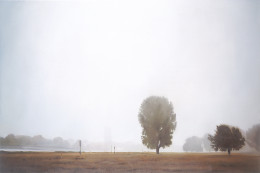 Frank Bauer - Rheinwiesen bei Gewitter