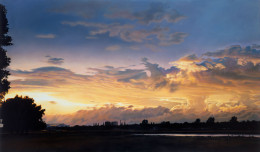 Frank Bauer - Rheinwiesen nach Gewitter