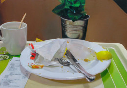 Frank Bauer - Stillleben (Lehrter See)