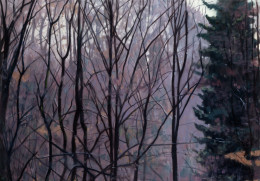 Frank Bauer - Wald (bei Kettwig 1)