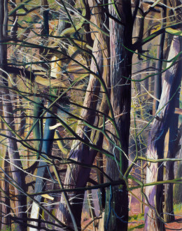 Frank Bauer - Wald (bei Potsdam, links)