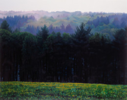 Frank Bauer - Wald (Radevormwald)